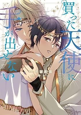 Cover image for Katta tenshi ni tega dasenai