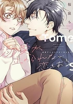 Cover image for Dekiai ga tomerarenai koi mo aru