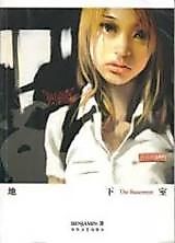 Cover image for The Basement