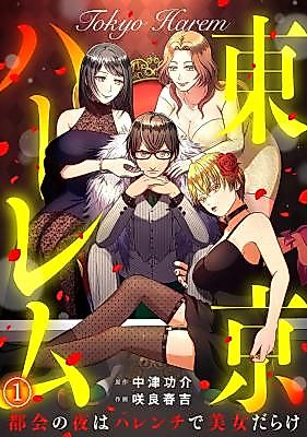 Cover image for Tokyo Harem ~Tokai no Yoru wa Harenchi de Bijo Darake~