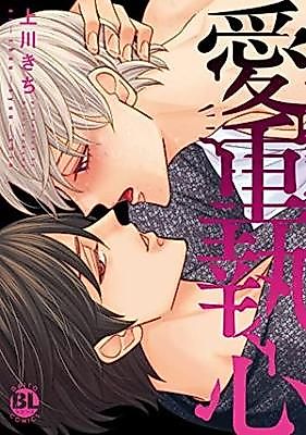 Cover image for Aijuu Shuushin
