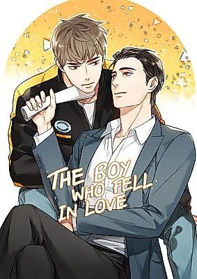 Cover image for The Boy Who Fell in Love
