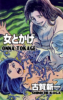 Cover image for Lady Lizard