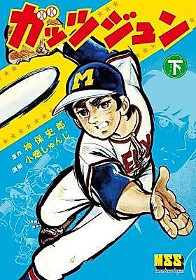 Cover image for Gattsujun