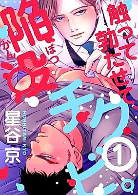 Cover image for Sawatte Tatasete, Kanbotsu Chikubi.
