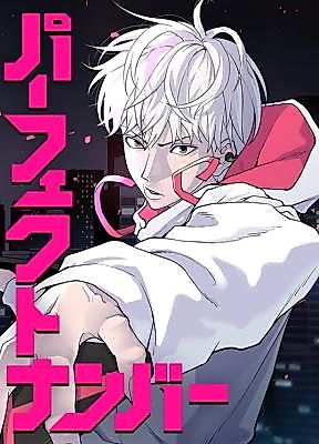 Cover image for Perfect Number (Kanekaki Go)