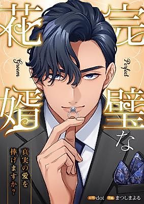 Cover image for Perfect Groom