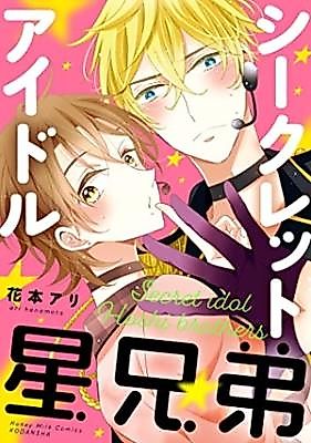 Cover image for Secret idol hoshibrother