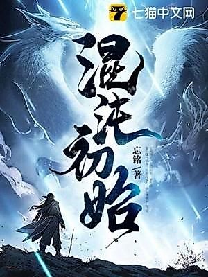 Cover image for Primordial Chaos