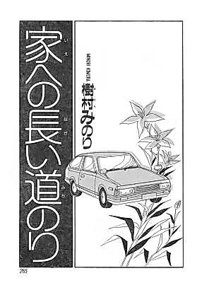 Cover image for The Long Road to Home