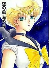 Cover image for Sailor Moon dj - Sky Fish, Sea Bird