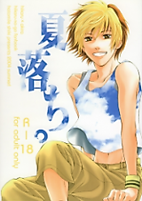 Cover image for Hikaru no Go dj - Fall in Summer