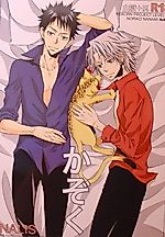 Cover image for 家庭教師ヒットマンREBORN! - かぞく