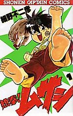 Cover image for Nekken Musashi