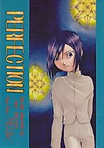 Cover image for Digimon Adventure 02 dj - Perfection