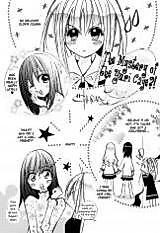 Cover image for The Mystery of the Yuri Cage