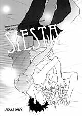 Cover image for Katekyo Hitman Reborn! dj - Siesta