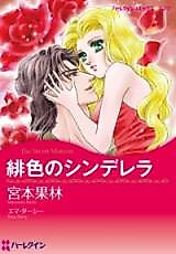 Cover image for The Secret Mistress