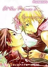 Cover image for Naruto dj - At The Prince's Command