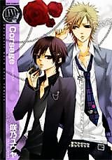 Cover image for Corsage