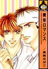 Cover image for Seinen Romance