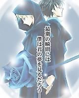 Cover image for Harry Potter dj - Winter Rose