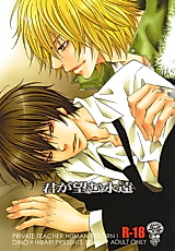 Cover image for Katekyo Hitman Reborn! dj - Kimi ga Nozomu Eien