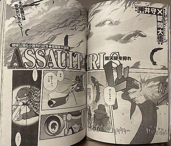 Cover image for Assault Girls