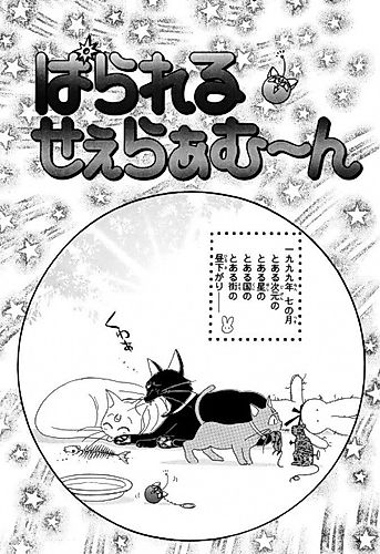 Cover image for Parallel Sailormoon