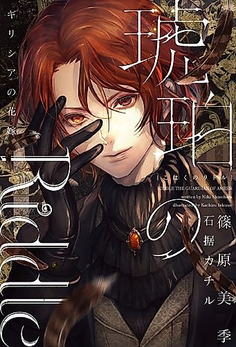 Cover image for Riddle the Guardian of Amber