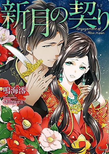 Cover image for Engagement of new moon