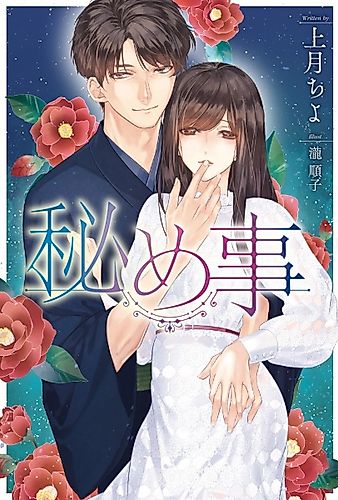 Cover image for Himegoto