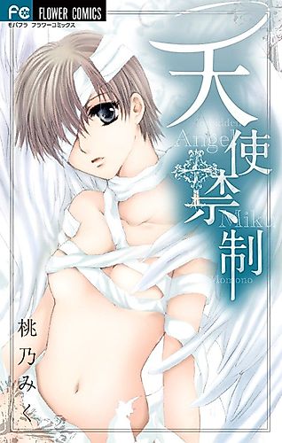Cover image for Forbidden Angel