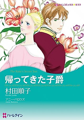 Cover image for The Rake's Secret Son