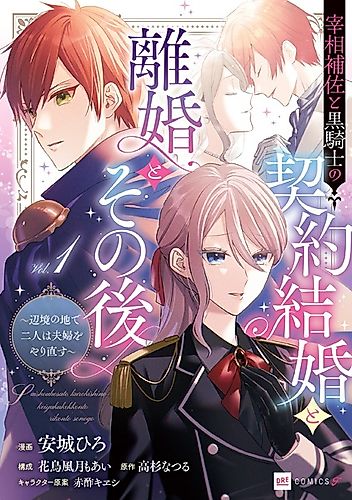 Cover image for Marriage, Divorce, and Beyond: The White Mage and Black Knight's Romance Reignited