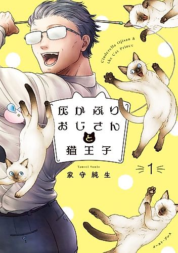 Cover image for Cinderella Ojisan & the Cat Prince