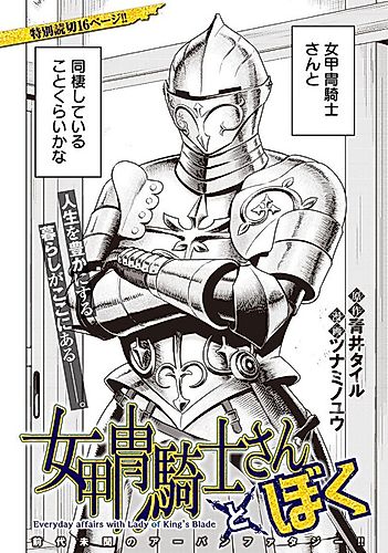 Cover image for Everyday Affairs with Lady of King's Blade