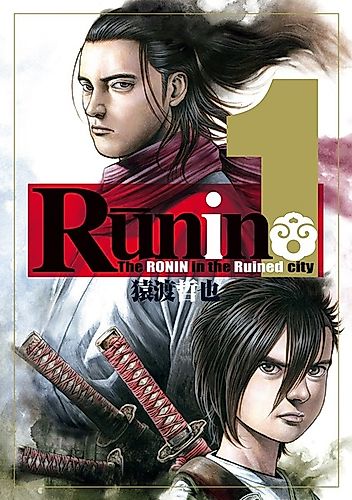Cover image for Runin