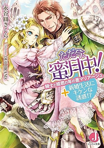 Cover image for Tadaima, Mitsugetsuchuu! Kishi to Himegimi no Toshi no Sa Marriage + Shinkon Seikatsu ni Kiken na Yuuwaku!?