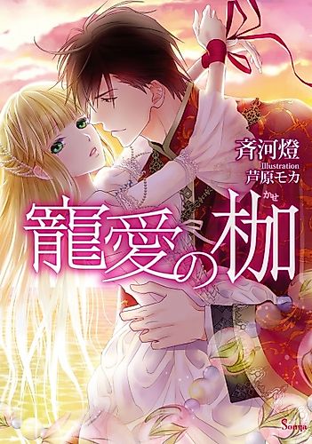 Cover image for Chouai no Kase