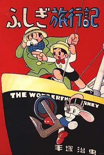 Cover image for The Wonderful Journey