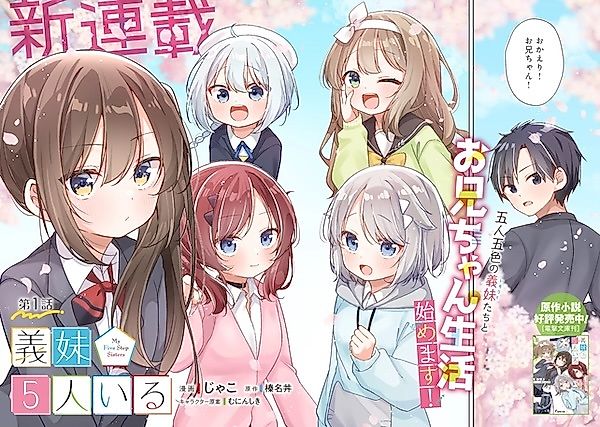Cover image for My Five Step Sisters