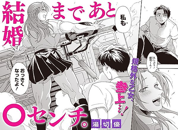 Cover image for ￮ Centimeters Until Marriage