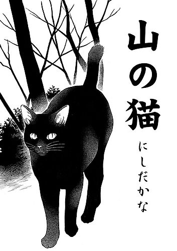Cover image for Mountain Cat