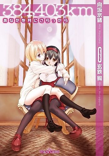 Cover image for 384,403 km: Anata wo Tsuki ni Sarattara