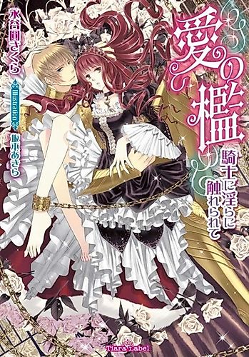 Cover image for Ai no Ori: Kishi ni Midara ni Furerarete