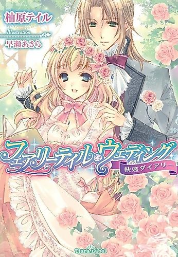 Cover image for Fairy Tale Wedding: Kaikan Diary