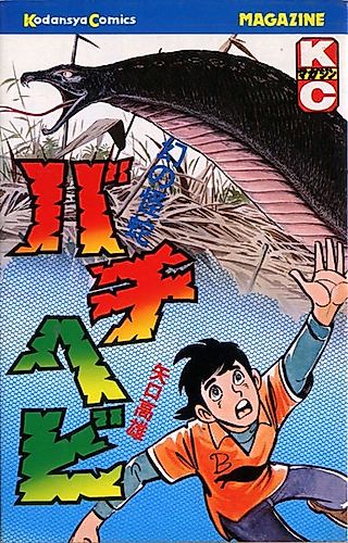 Cover image for Bachi Hebi