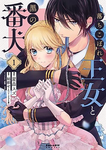 Cover image for Ochikobore Oujo to Kuro no Banken