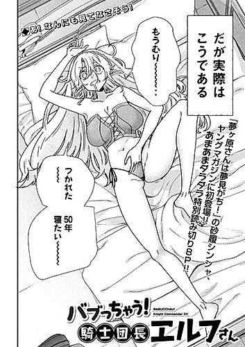 Cover image for Babucchau! Knight Commander Elf